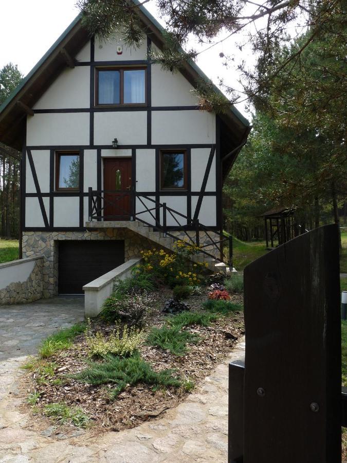 Radunska Ostoja Villa Dziemiany Екстериор снимка