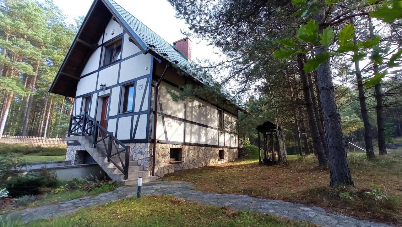 Radunska Ostoja Villa Dziemiany Екстериор снимка